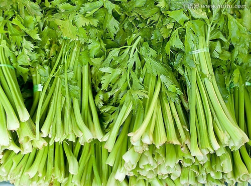 芹菜批發(fā)配送(圖1) 芹菜批發(fā)配送(圖1)