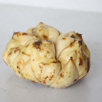 百合批發(fā)價(jià)格(圖1) 百合批發(fā)價(jià)格(圖1)